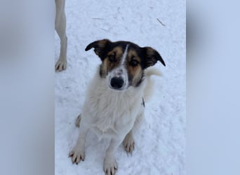 Ella verspielt und zutraulich