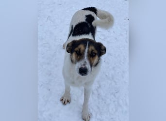 Ella verspielt und zutraulich