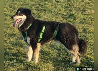 Unity, sensibles Herz sucht ihr Zuhause, PS 85435 Erding