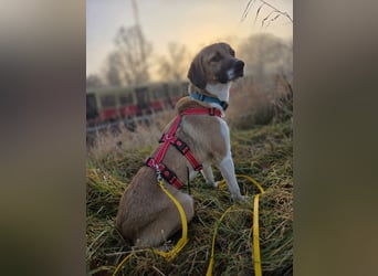 Ronja - zarte Räubertochter mit mutigen Herz