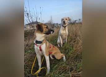 Ronja - zarte Räubertochter mit mutigen Herz