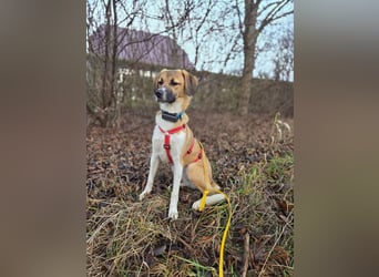 Ronja - zarte Räubertochter mit mutigen Herz