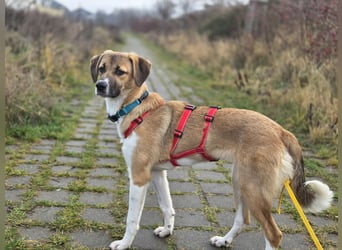 Ronja - zarte Räubertochter mit mutigen Herz