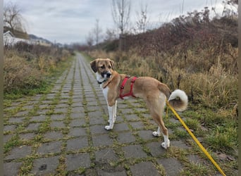 Ronja - zarte Räubertochter mit mutigen Herz
