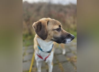 Ronja - zarte Räubertochter mit mutigen Herz