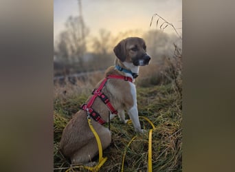 Ronja - zarte Räubertochter mit mutigen Herz