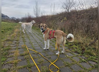 Ronja - zarte Räubertochter mit mutigen Herz