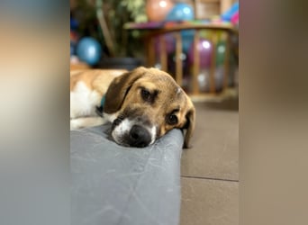 Ronja - zarte Räubertochter mit mutigen Herz