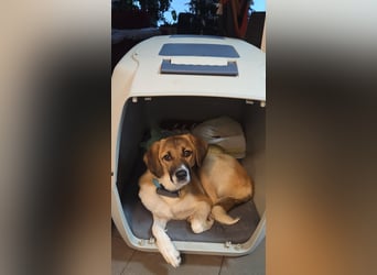 Ronja - zarte Räubertochter mit mutigen Herz