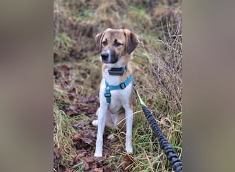 Ronja - zarte Räubertochter mit mutigen Herz