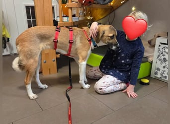 Ronja - zarte Räubertochter mit mutigen Herz