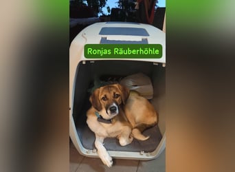 Ronja - zarte Räubertochter mit mutigen Herz
