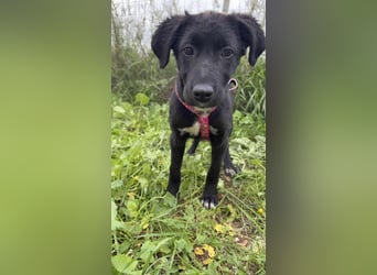 Matilda - lebensfroh und verspielt