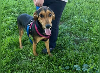 Hübsche Tonia sucht Kuschelplätzchen