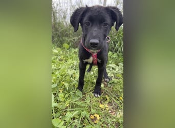 Matilda - lebensfroh und verspielt