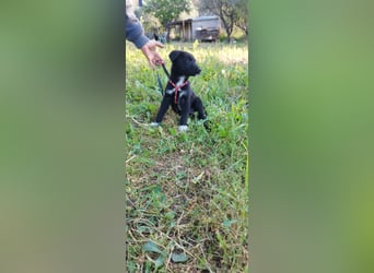 Feeby: Bezaubernder Sonnenschein