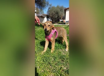 Mabel ist ein Gute-Laune-Schatz