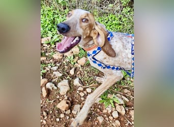 Feivel ist voller Energie und Liebe