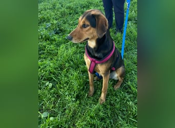 Hübsche Tonia sucht Kuschelplätzchen