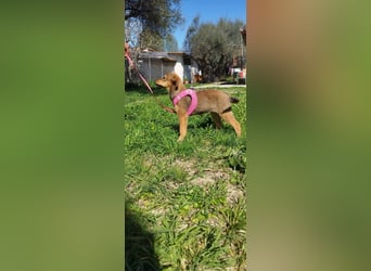 Mabel ist ein Gute-Laune-Schatz