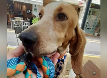 Feivel ist voller Energie und Liebe