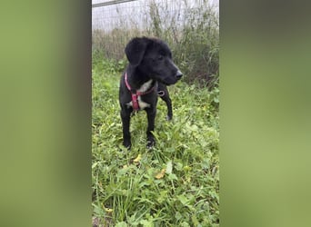 Matilda - lebensfroh und verspielt