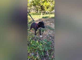 Feeby: Bezaubernder Sonnenschein