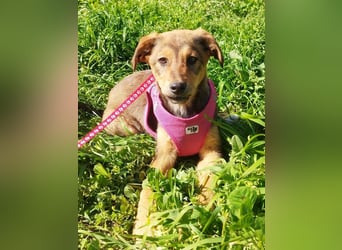 Mabel ist ein Gute-Laune-Schatz