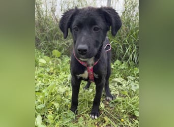 Matilda - lebensfroh und verspielt