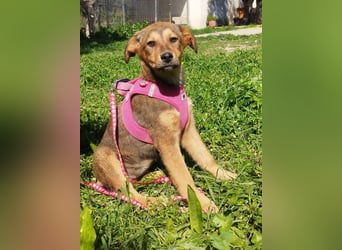 Mabel ist ein Gute-Laune-Schatz