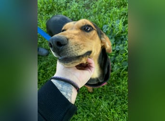 Hübsche Tonia sucht Kuschelplätzchen