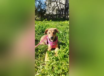 Mabel ist ein Gute-Laune-Schatz
