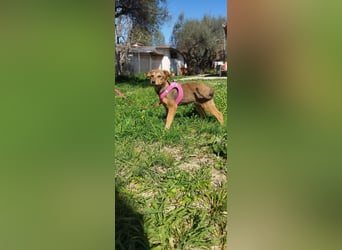Mabel ist ein Gute-Laune-Schatz