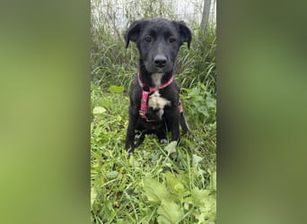 Matilda - lebensfroh und verspielt