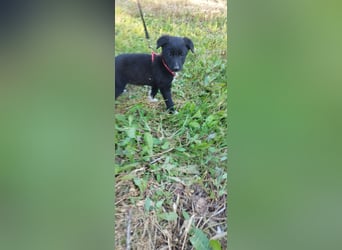 Feeby: Bezaubernder Sonnenschein