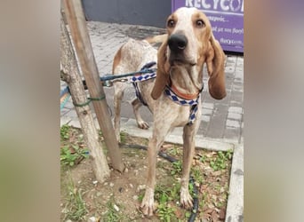 Feivel ist voller Energie und Liebe