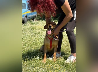 Lucy - freundlich und menschenbezogen