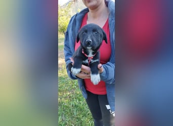 Feeby: Bezaubernder Sonnenschein