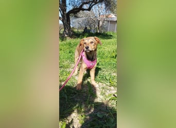 Mabel ist ein Gute-Laune-Schatz
