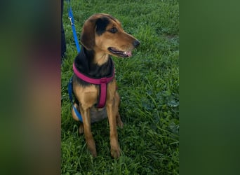 Hübsche Tonia sucht Kuschelplätzchen