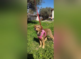 Mabel ist ein Gute-Laune-Schatz