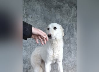 Maribel - aus Mangalia