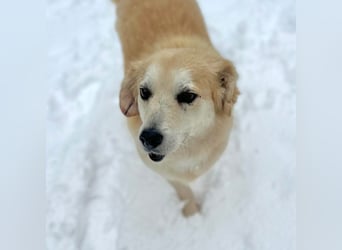 Wurstl - ist sehr zutraulich