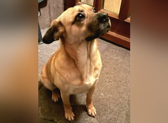 Ebba - kleine Herzensdame