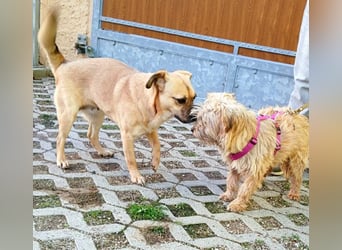 Ebba - kleine Herzensdame