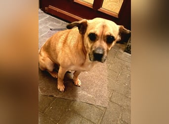 Ebba - kleine Herzensdame