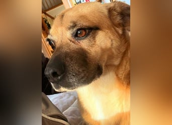 Ebba - kleine Herzensdame