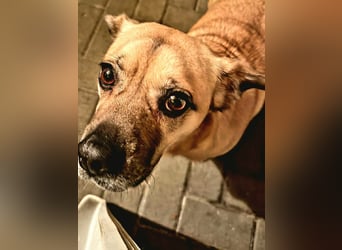 Ebba - kleine Herzensdame