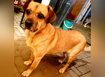 Ebba - kleine Herzensdame