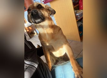 Ebba - kleine Herzensdame